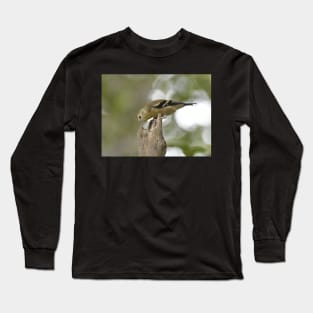 American Goldfinch Fledgling Long Sleeve T-Shirt